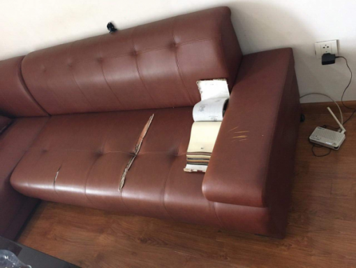 Bộ ghế sofa mới bị rách ở đường chỉ may và mèo cào ở Dương Đình Nghệ