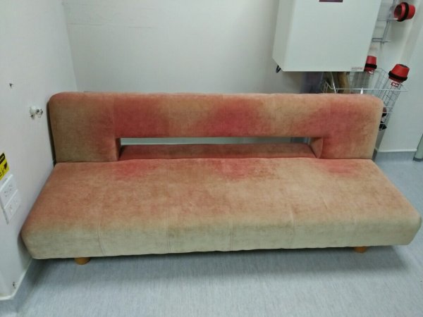 Chiếc ghế sofa giường không chỉ bám bẩn mà còn bị rụng lông màu loang lổ