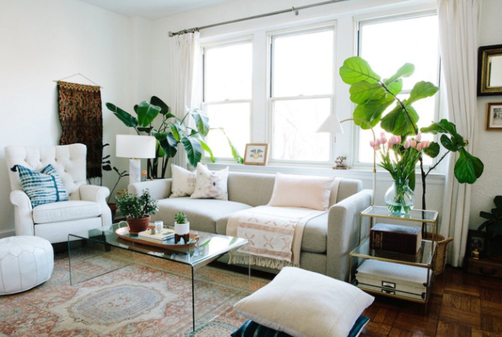 Lựa chọn 1-2 cây xanh bài trí trong không gian sẽ giúp căn hộ của bạn thêm đẹp hơn