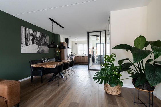 Một bức tường xanh rêu làm nền cho không gian căn hộ