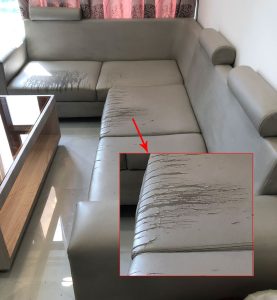 Phần mặt ngồi bị nứt rách hết toàn bộ