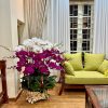 Làm Đệm Ghế Grandbois Cho Khách Hàng Tại Nguyễn Phong Sắc